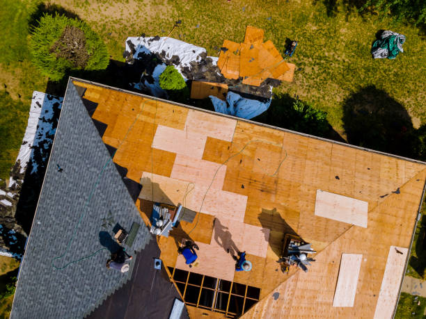 Best Roof Restoration Services  in Chigan Center, MI
